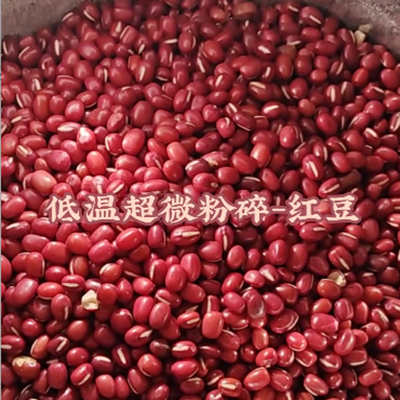红豆低温超微粉碎机