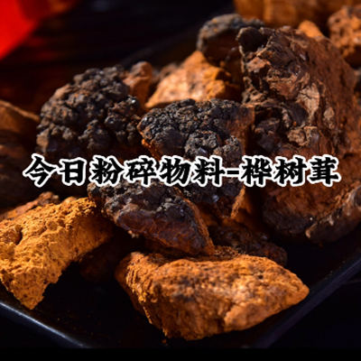 桦树茸低温超微粉碎机