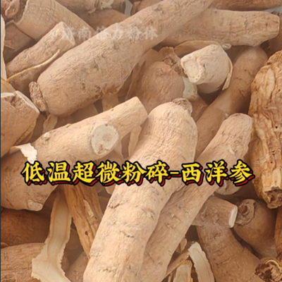 西洋参低温超微粉碎机