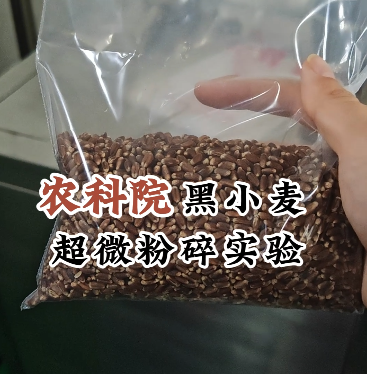 黑小麦低温超微粉碎机